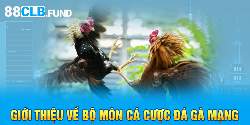 Giới thiệu về bộ môn cá cược đá gà mạng