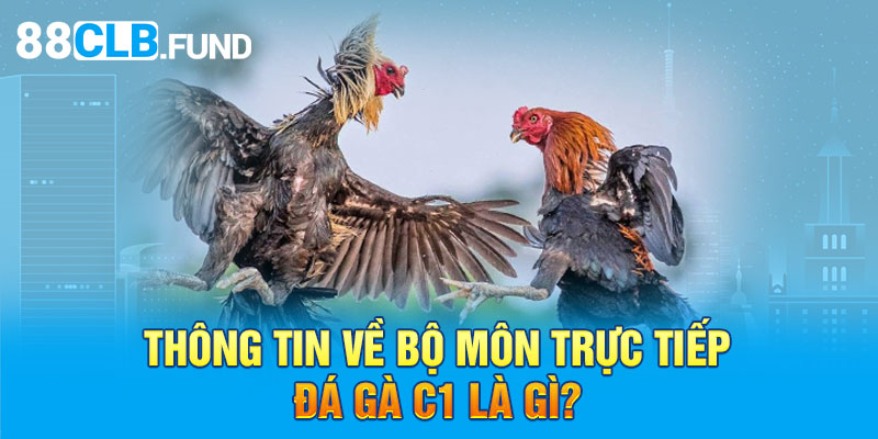 Thông tin về bộ môn trực tiếp đá gà C1 là gì?