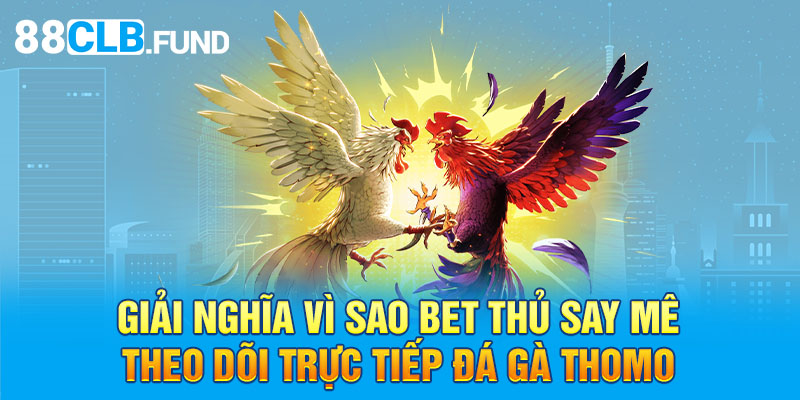 Giải nghĩa vì sao bet thủ say mê theo dõi trực tiếp đá gà Thomo 