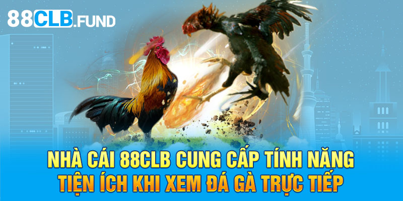 Nhà cái 88CLB cung cấp tính năng tiện ích khi xem đá gà trực tiếp