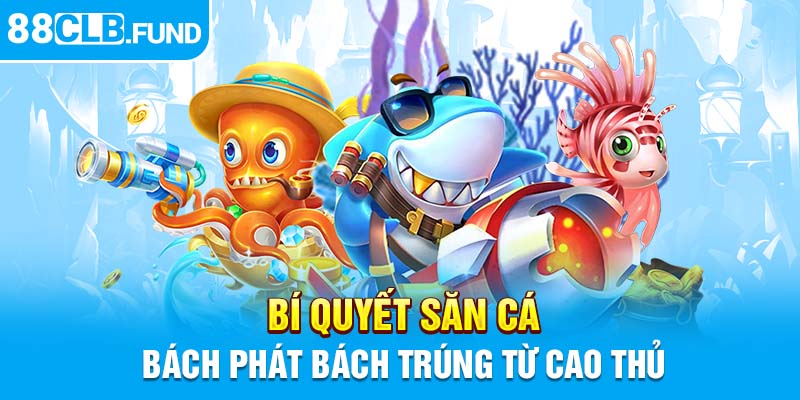 Bí quyết săn cá bách phát bách trúng từ cao thủ